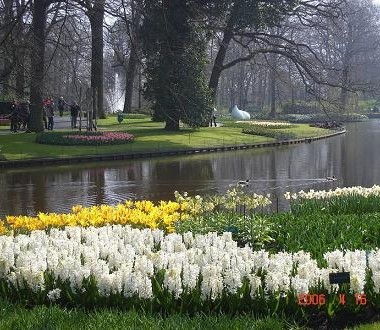 Nhập khẩu hàng hoá của Việt Nam từ Hà Lan năm 2010 tăng 22,9% về kim ngạch